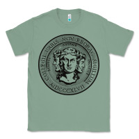Sage city college of new york seal Classic Tee - linhVisuals