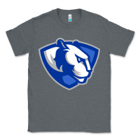 Charcoal Heather The eastern illinois panthers Classic Tee - linhVisuals