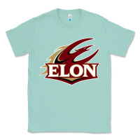 Seafoam The elon phoenix Classic Tee - linhVisuals