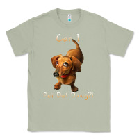 Matcha can i pet dat dawg funny dog dachshund lover doxie gift t shirt Classic Tee - linhVisuals