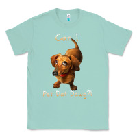 Seafoam can i pet dat dawg funny dog dachshund lover doxie gift t shirt Classic Tee - linhVisuals