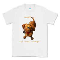 White can i pet dat dawg funny dog dachshund lover doxie gift t shirt Classic Tee - linhVisuals