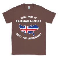 Chestnut what part of eyjafjallajökull don't you understand raglan baseball te Classic Tee - linhVisuals