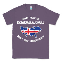 Lavender what part of eyjafjallajökull don't you understand raglan baseball te Classic Tee - linhVisuals