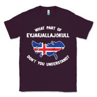 Plum what part of eyjafjallajökull don't you understand raglan baseball te Classic Tee - linhVisuals