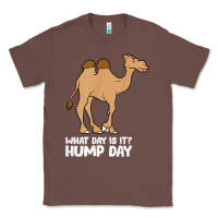 Chestnut what day is it hump day funny camels hump day t shirt Classic Tee - linhVisuals