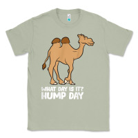 Matcha what day is it hump day funny camels hump day t shirt Classic Tee - linhVisuals