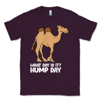 Plum what day is it hump day funny camels hump day t shirt Classic Tee - linhVisuals