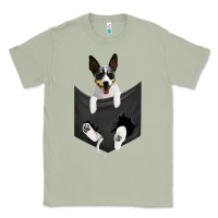 Matcha rat terrier dog in pocket, rattie puppy, ratting terrier t shirt Classic Tee - linhVisuals