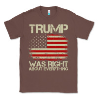 Chestnut vintage usa american flag trump was right about everything pullover ho Classic Tee - linhVisuals