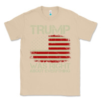 Mushroom vintage usa american flag trump was right about everything pullover ho Classic Tee - linhVisuals
