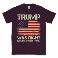 Plum vintage usa american flag trump was right about everything pullover ho Classic Tee - linhVisuals