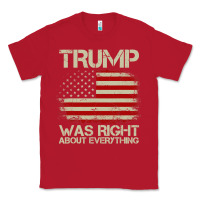 Red vintage usa american flag trump was right about everything pullover ho Classic Tee - linhVisuals