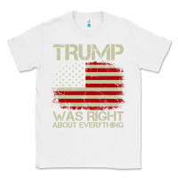 White vintage usa american flag trump was right about everything pullover ho Classic Tee - linhVisuals