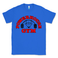 True Royal POWERHOUSE GYM VINTAGE SPORT Classic Tee - linhVisuals