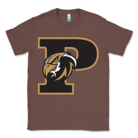 Chestnut poolesville high school Classic Tee - linhVisuals