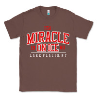 Chestnut miracle on ice Classic Tee - linhVisuals