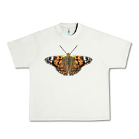 Pistachio Painted Lady Urban Heavy Tee - LillyAllenDesigns