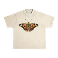 Sandshell Painted Lady Urban Heavy Tee - LillyAllenDesigns