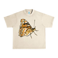 Sandshell Painted Lady Butterfly Urban Heavy Tee - LillyAllenDesigns