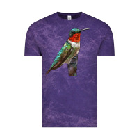 Cloud Purple Ruby Throated Hummingbird Bird Vintage Tee - LillyAllenDesigns