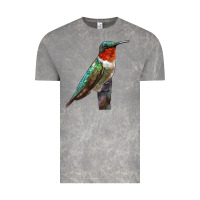 Cloud Rock Ruby Throated Hummingbird Bird Vintage Tee - LillyAllenDesigns