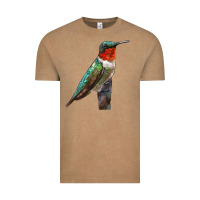 Vintage Coffee Ruby Throated Hummingbird Bird Vintage Tee - LillyAllenDesigns