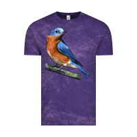 Cloud Purple Eastern Bluebird Vintage Tee - LillyAllenDesigns