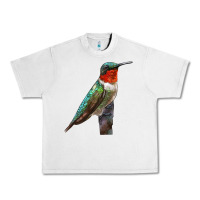 Lunar Rock Ruby Throated Hummingbird Bird Urban Heavy Tee - LillyAllenDesigns