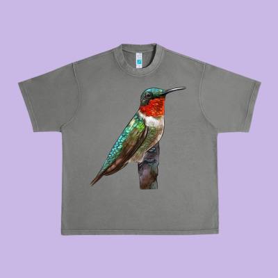 Ruby Throated Hummingbird Bird Urban Heavy Tee Designed By Lillyallendesigns