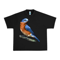 Black Eastern Bluebird Urban Heavy Tee - LillyAllenDesigns
