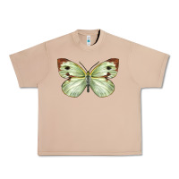 Burro Cabbage Butterfly Urban Heavy Tee - LillyAllenDesigns