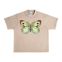 French Oak Cabbage Butterfly Urban Heavy Tee - LillyAllenDesigns