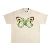 Sandshell Cabbage Butterfly Urban Heavy Tee - LillyAllenDesigns
