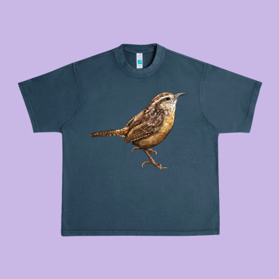 Ccarolina Wren Urban Heavy Tee Designed By Lillyallendesigns