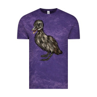 Cloud Purple Baby Cayuga Duck Vintage Tee - LillyAllenDesigns