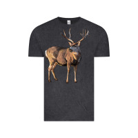 Vintage Black Mule Buck Deer Vintage Tee - LillyAllenDesigns