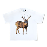 White Mule Buck Deer Urban Heavy Tee - LillyAllenDesigns