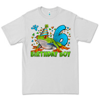 Dove Grey birthday boy frog age 6 Premium Tee - LillyAllenDesigns
