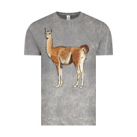 Cloud Rock guanaco llama Vintage Tee - LillyAllenDesigns