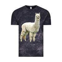 Cloud Black Alpaca Vintage Tee - LillyAllenDesigns