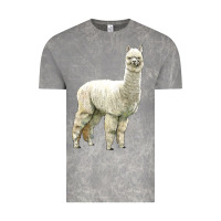 Cloud Rock Alpaca Vintage Tee - LillyAllenDesigns