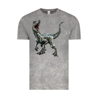 Cloud Rock Velociraptor Vintage Tee - LillyAllenDesigns