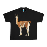 Black guanaco llama Urban Heavy Tee - LillyAllenDesigns