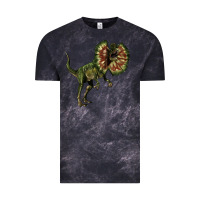 Cloud Black Dilophosaurus Vintage Tee - LillyAllenDesigns