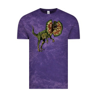 Cloud Purple Dilophosaurus Vintage Tee - LillyAllenDesigns