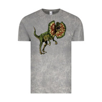 Cloud Rock Dilophosaurus Vintage Tee - LillyAllenDesigns