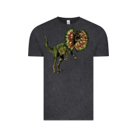 Vintage Black Dilophosaurus Vintage Tee - LillyAllenDesigns