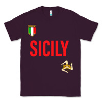 Plum sicily Classic Tee - baoMotion