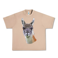 Burro Guanaco Llama Head Urban Heavy Tee - LillyAllenDesigns